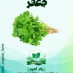 بذر جعفری عطری همدانی
