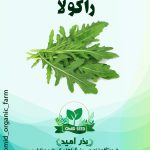 بذر راکولا
