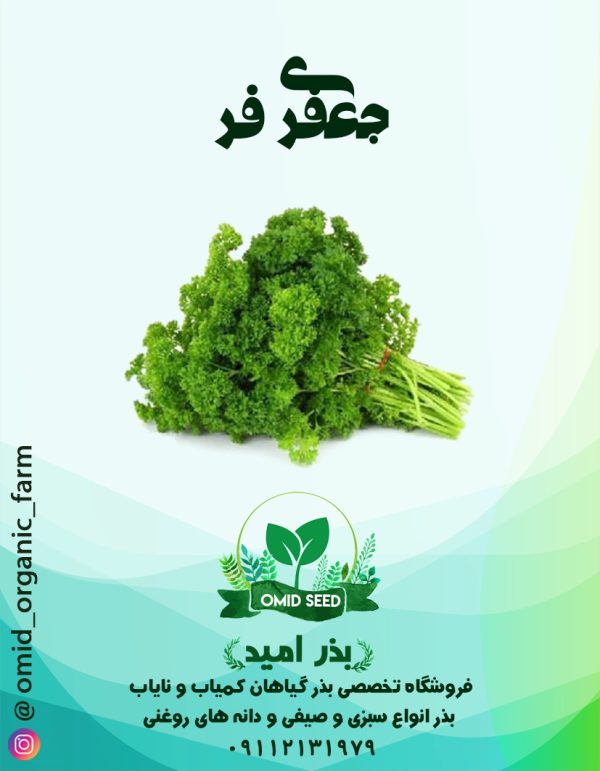 بذر جعفری فر بیجو - تصویر 1