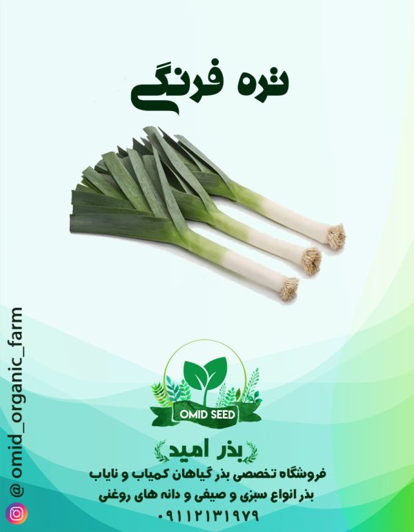 بذر تره فرنگی غولپیکر لینکلن - تصویر 1