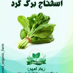 بذر اسفناج برگ گرد پوپ ( بیبی اسفناج )