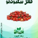 بذر فلفل بیکینهو