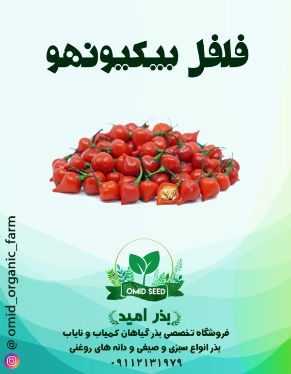 بذر فلفل بیکینهو - تصویر 1