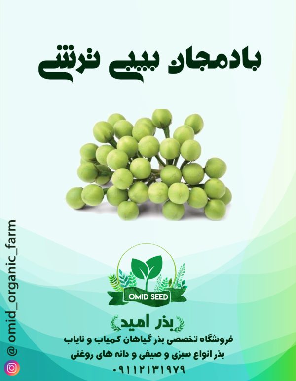 بذر بادمجان نخودی سبز - تصویر 1