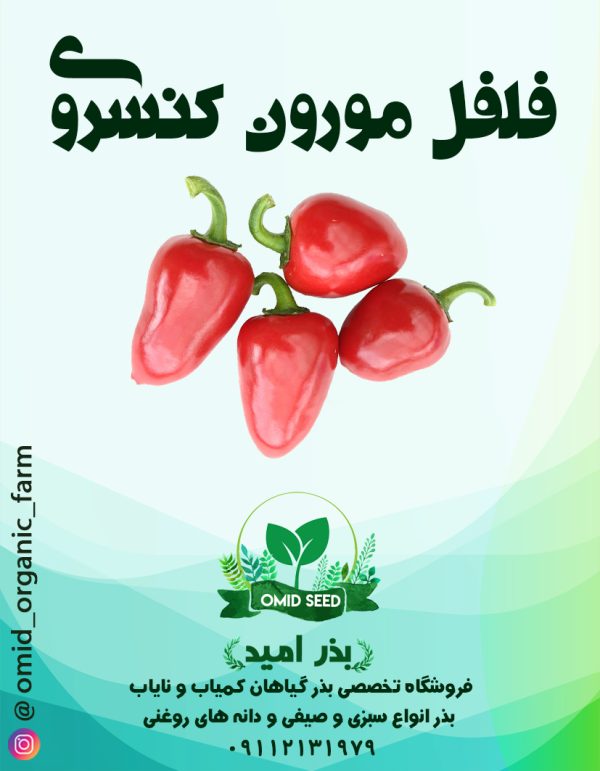 بذر فلفل چیلی ریز - تصویر 1