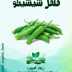 بذر فلفل شیشیتو قلمی