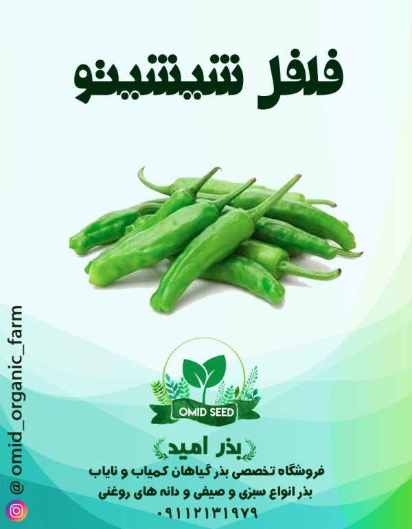 بذر فلفل شیشیتو قلمی - تصویر 1