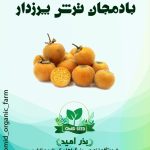 بذر بادمجان ترش پرزدار