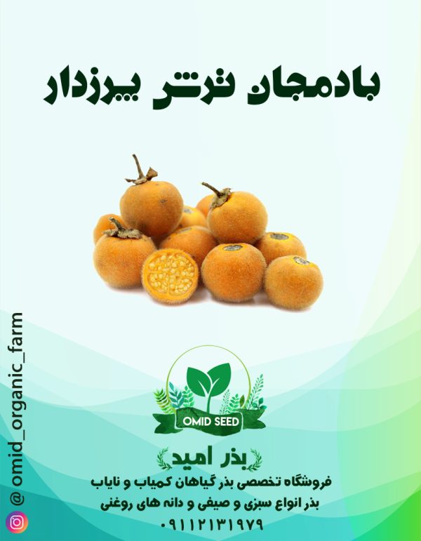 بذر بادمجان ترش پرزدار - تصویر 1