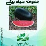 بذر هندوانه سیاه بیضی هیبرید