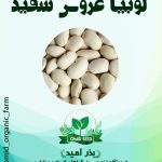 بذر لوبیا عروس سفید