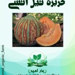 بذر خربزه تیل آتشی
