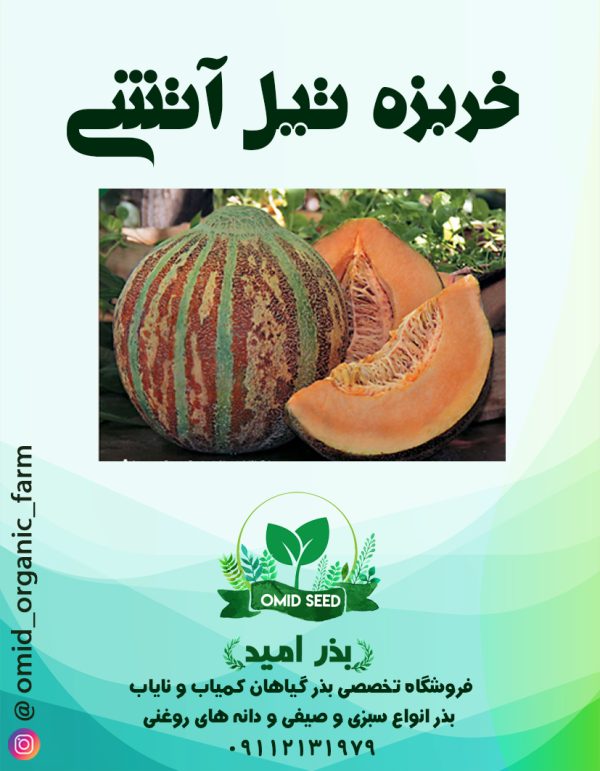 بذر خربزه تیل آتشی - تصویر 1