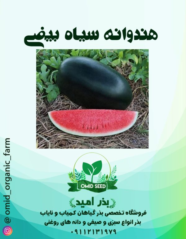 بذر هندوانه سیاه بیضی - تصویر 1