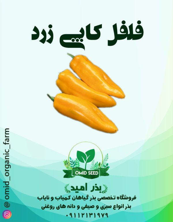 بذر فلفل کاپی زرد - تصویر 1