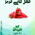 بذر فلفل کاپی قرمز