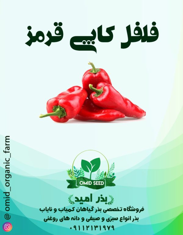 بذر فلفل کاپی قرمز - تصویر 1