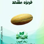 بذر خربزه مشهد