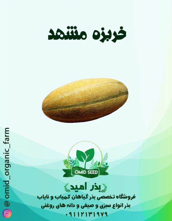 بذر خربزه مشهد - تصویر 1