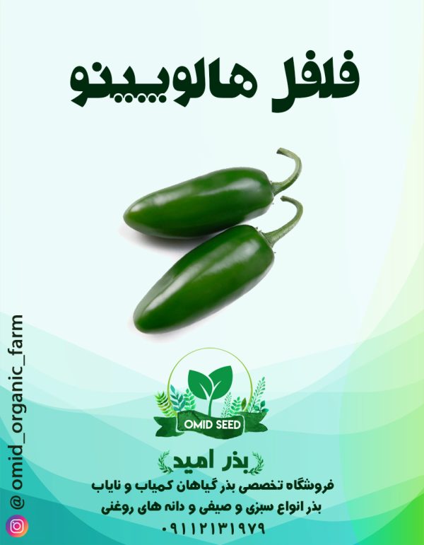 بذر فلفل هالوپینو F1 - تصویر 1
