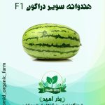 بذر هندوانه سوپر دراگون F1