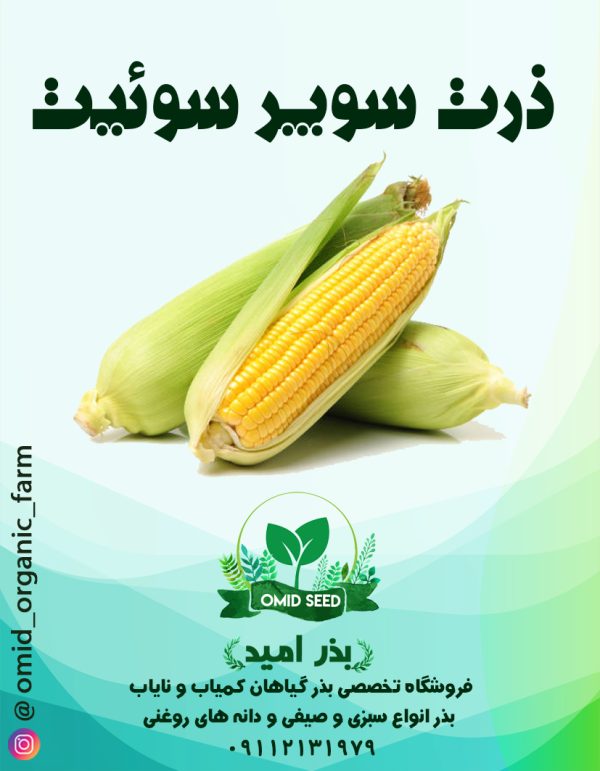 بذر ذرت مکزیکی سوپر سوئیت رویال - تصویر 1