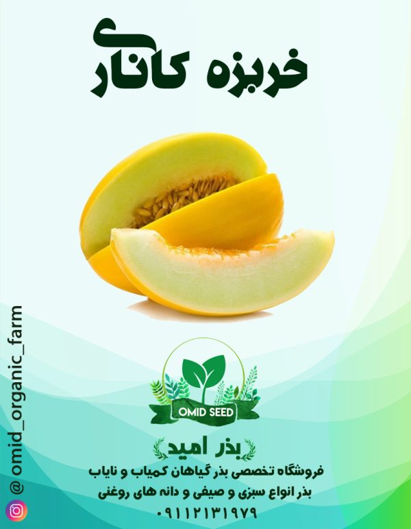 بذر خربزه کناری - تصویر 1