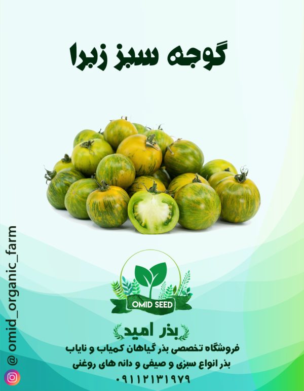 بذر گوجه سبز زبرا - تصویر 1
