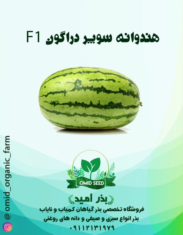 بذر هندوانه سوپر دراگون F1 - تصویر 1