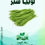 بذر لوبیا سبز ایرانی ثمین