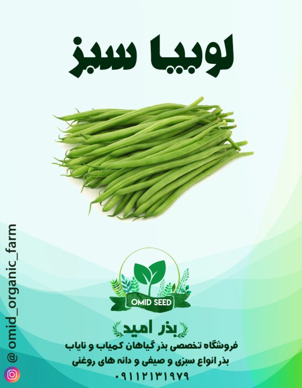 بذر لوبیا سبز ایرانی ثمین - تصویر 1