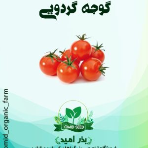 بذر گوجه گردویی