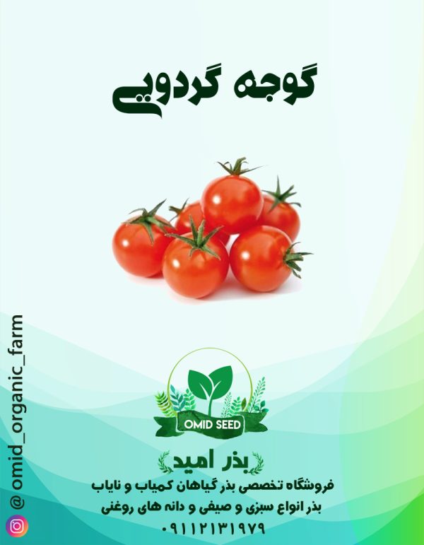 بذر گوجه گردویی - تصویر 1