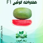 بذر هندوانه چارلستون هیبرید