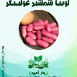 بذر لوبیا شمشیری غولپیکر ( لوبیا جک )