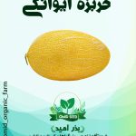 بذر خربزه ایوانکی