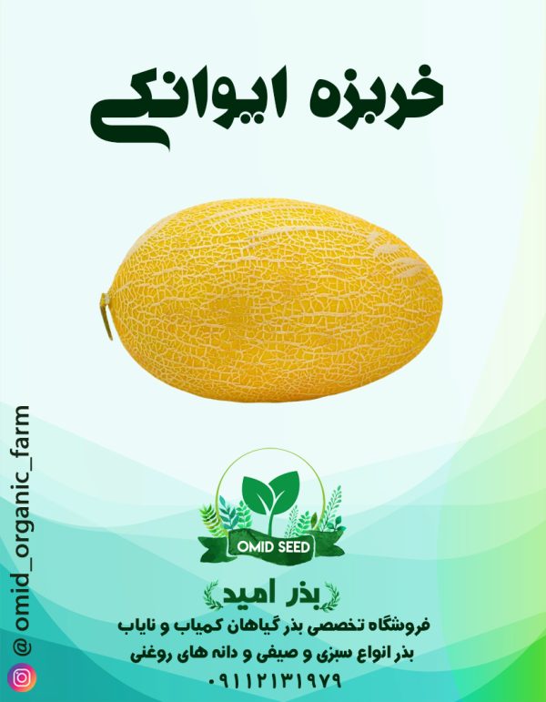 بذر خربزه ایوانکی - تصویر 1