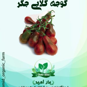 بذر گوجه گلابی جگری