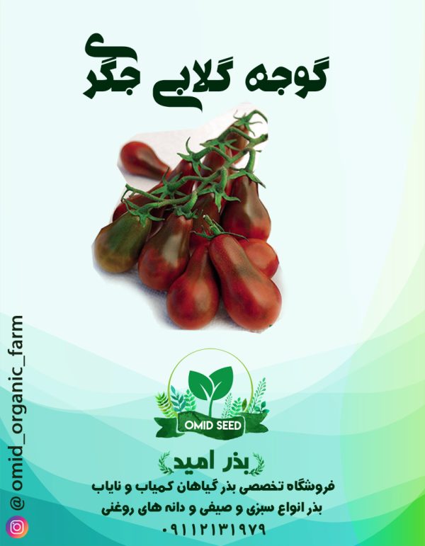 بذر گوجه گلابی جگری - تصویر 1