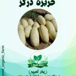 بذر خربزه درگزی