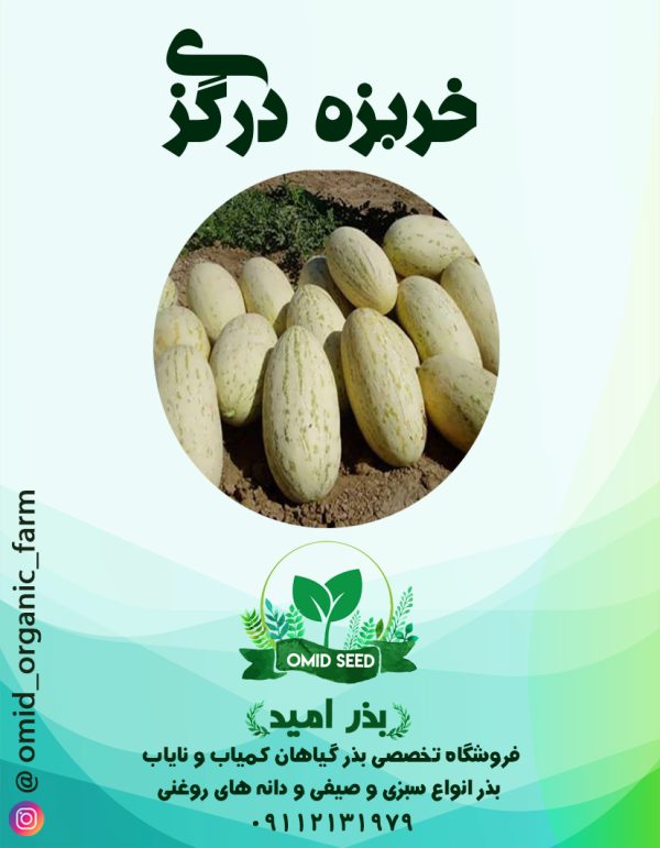 بذر خربزه درگزی - تصویر 1