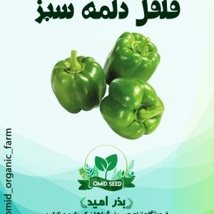 بذر فلفل دلمه سبز کالیفرنیا استاندارد