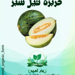 بذر خربزه تیل سبز