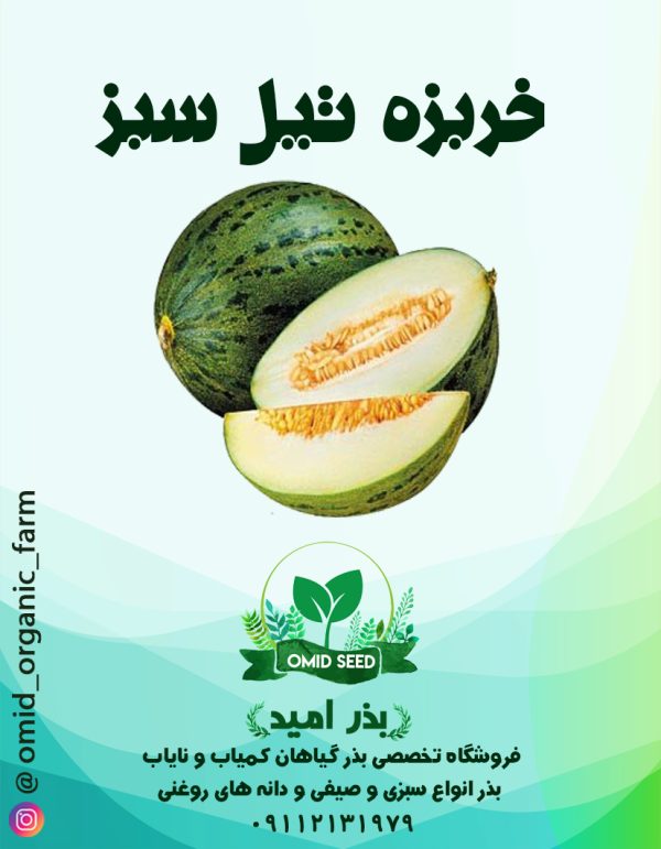 بذر خربزه تیل سبز - تصویر 1