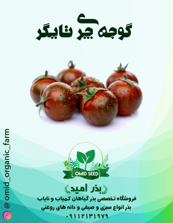 بذر گوجه چری تایگر - تصویر 1