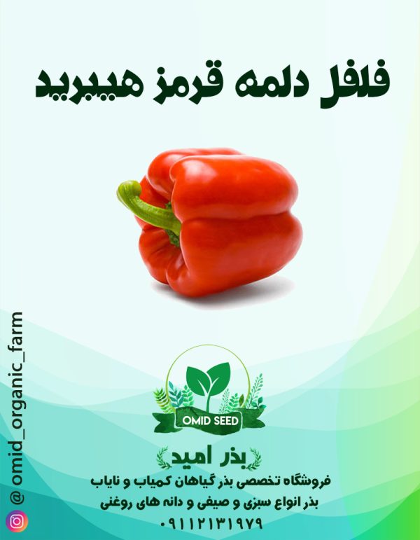 بذر فلفل دلمه قرمز هیبرید - تصویر 1
