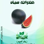 بذر هندوانه سیاه شوگر بیبی هیبرید