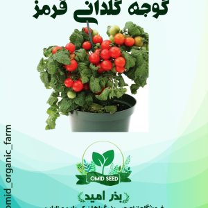 بذر گوجه گلدانی قرمز