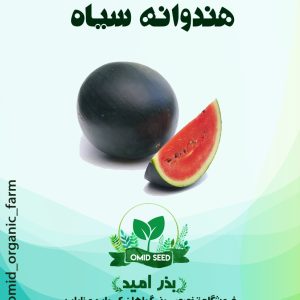 بذر هندوانه سیاه شوگر بیبی