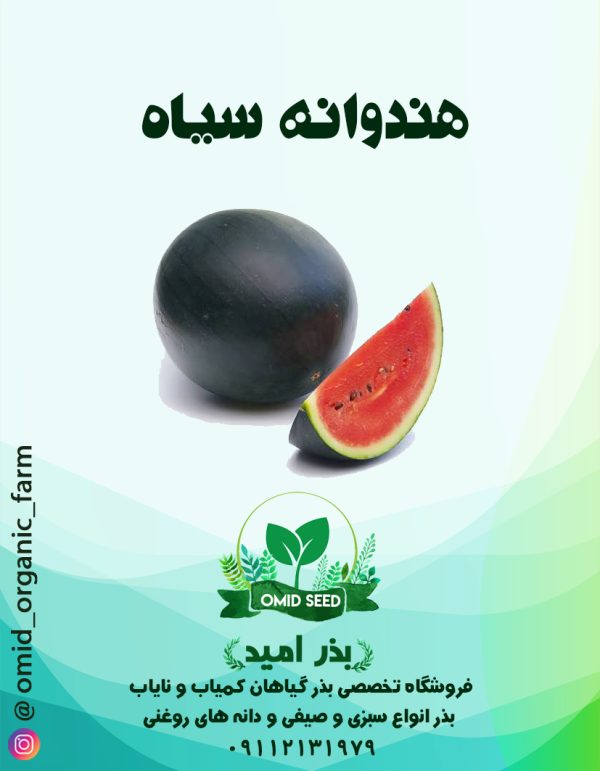 بذر هندوانه سیاه شوگر بیبی - تصویر 1